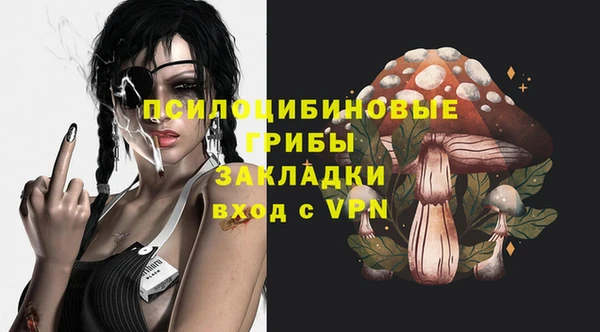 2c-b Алексеевка