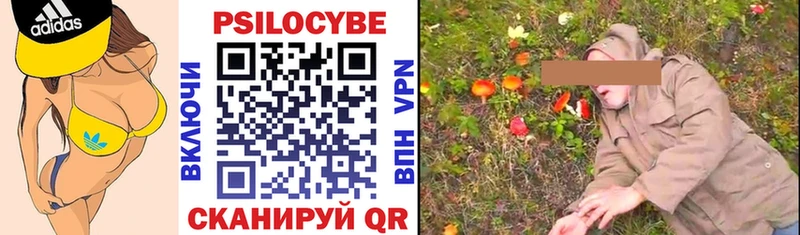 Псилоцибиновые грибы Magic Shrooms  магазин продажи   Красноярск 